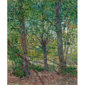 Дървета (1887) РЕПРОДУКЦИИ НА КАРТИНИ